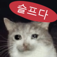 남