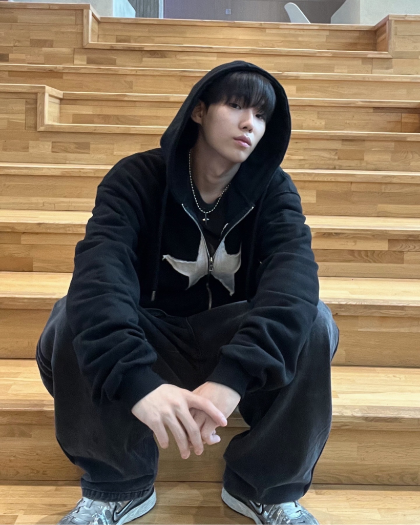 SAINT LAURENT スタープリント　パーカー　ナイロン　44 スタープリントパーカー | ファッション通販サイト NUGU