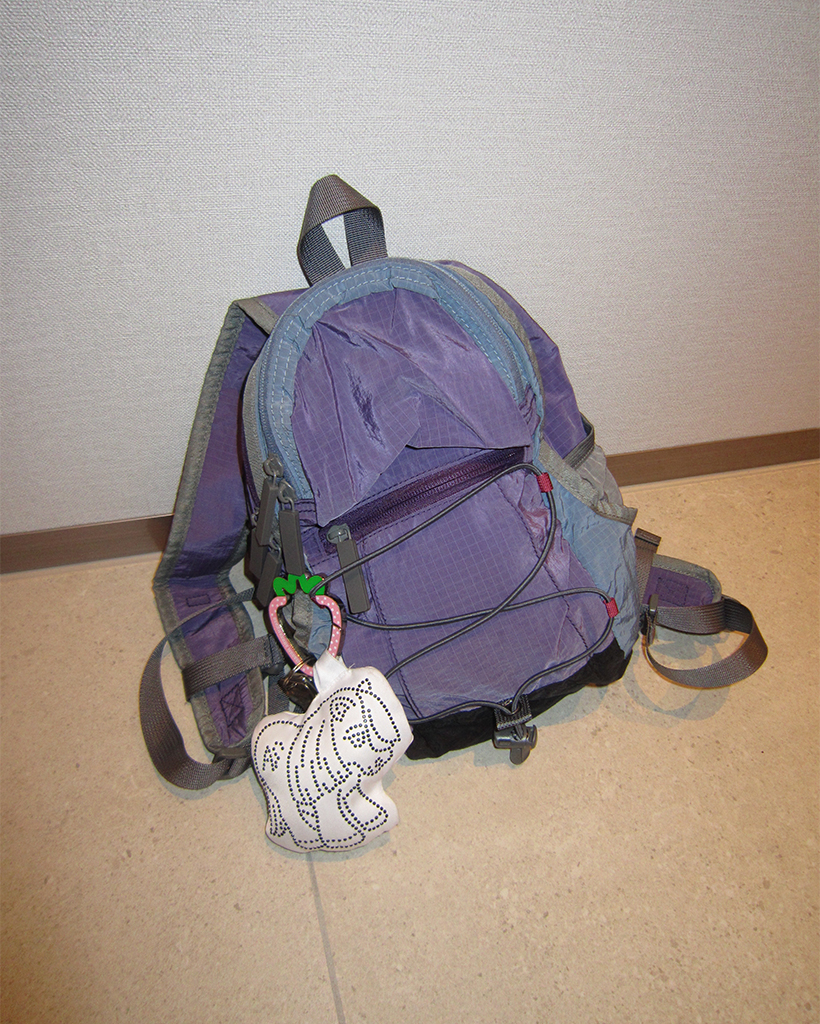 グラフチェックバンジーコードミニリュック