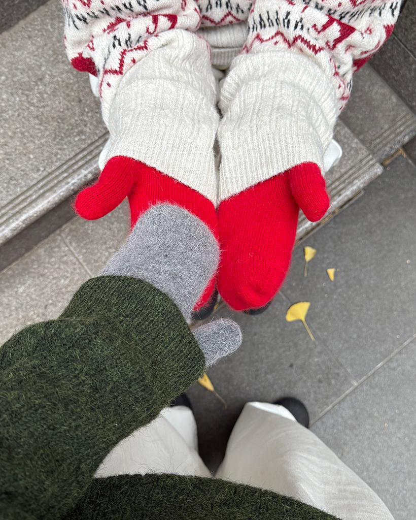 ヘアリーミトングローブ