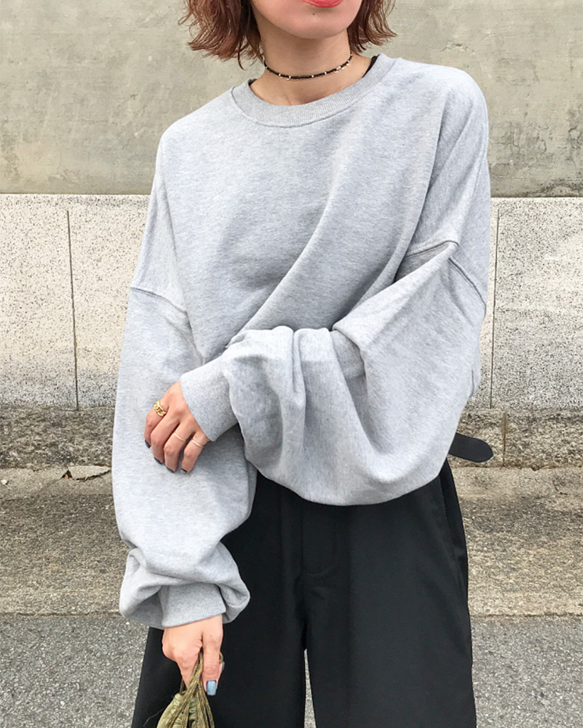 INSCRIRE クロップ　スウェットシャツ　タグ付き INSCRIRE クロップ スウェットシャツ タグ付き