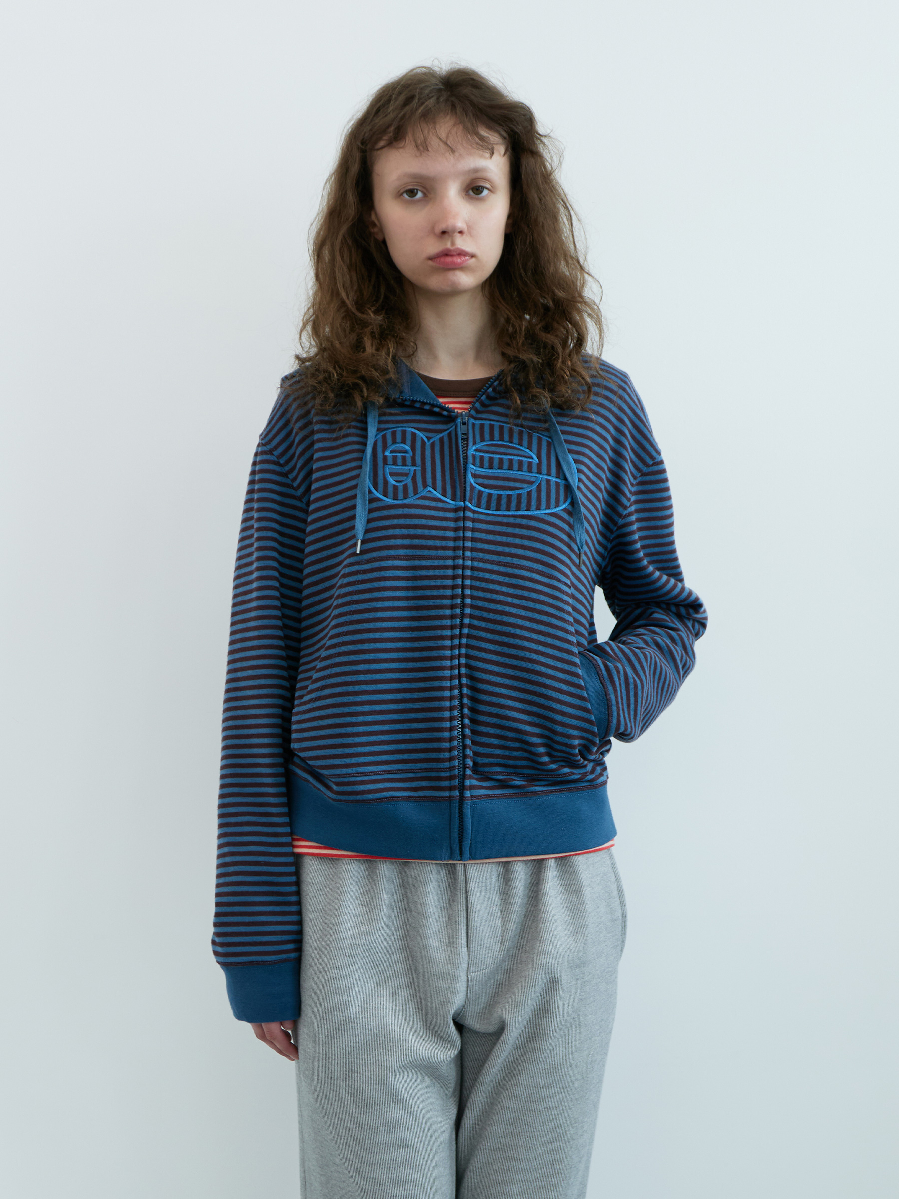 「3月初旬 予約配送」Striped Zip-up Hoodie (Blue Stripe)