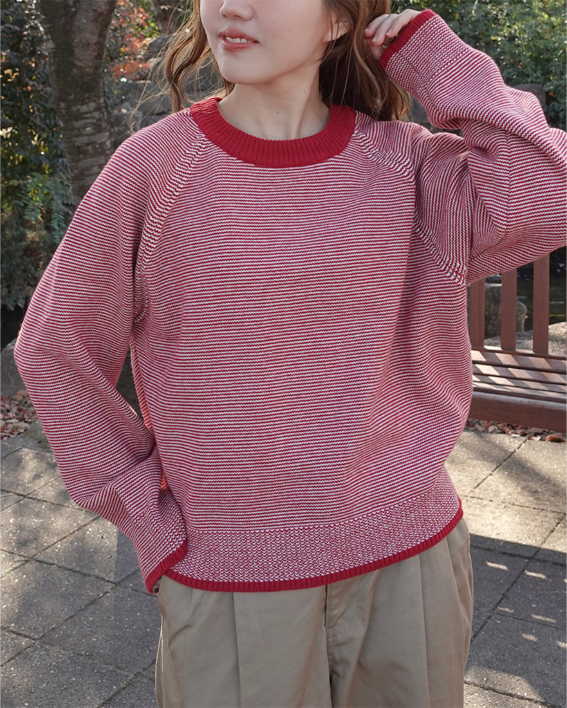 ボーダーネック配色ラグランニット