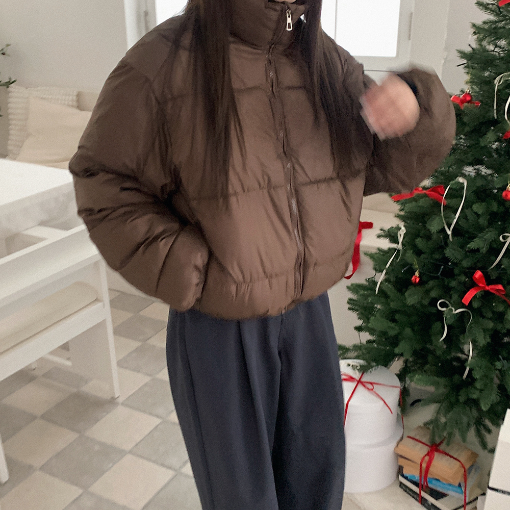 ハイネック クロップド丈 ダウン