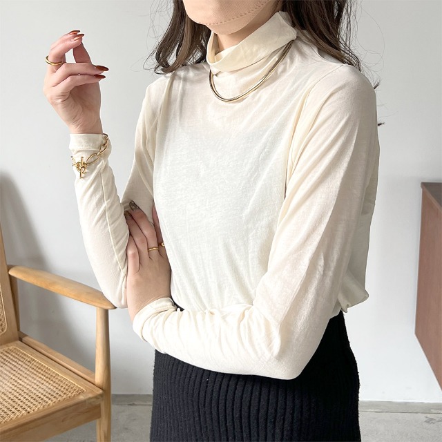 シースルータートルｔシャツ