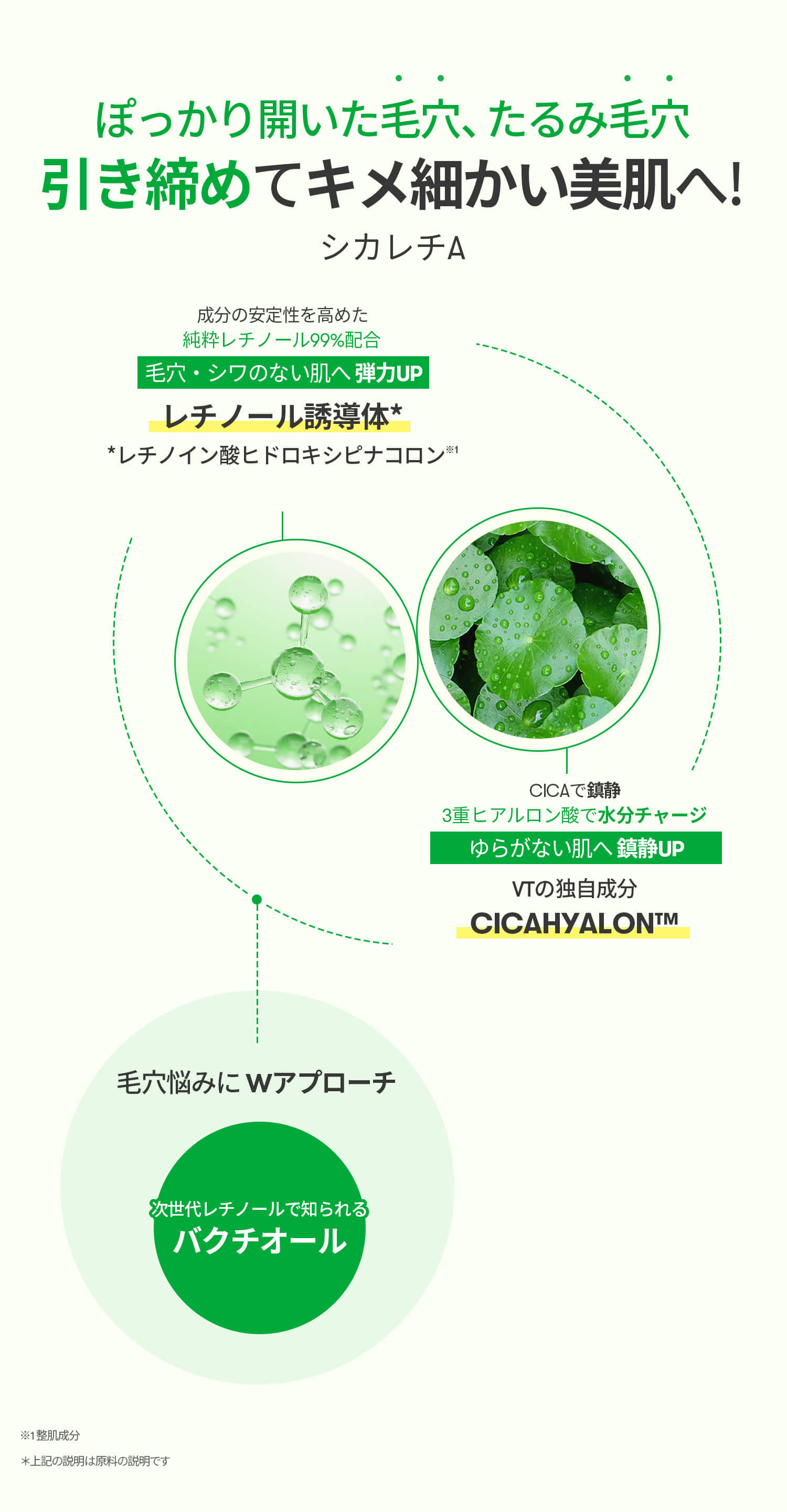 ※チカチカ※コスメまとめ売り AikoFukawa 帆布がま口コスメポーチ squirrel garden (リス柄)