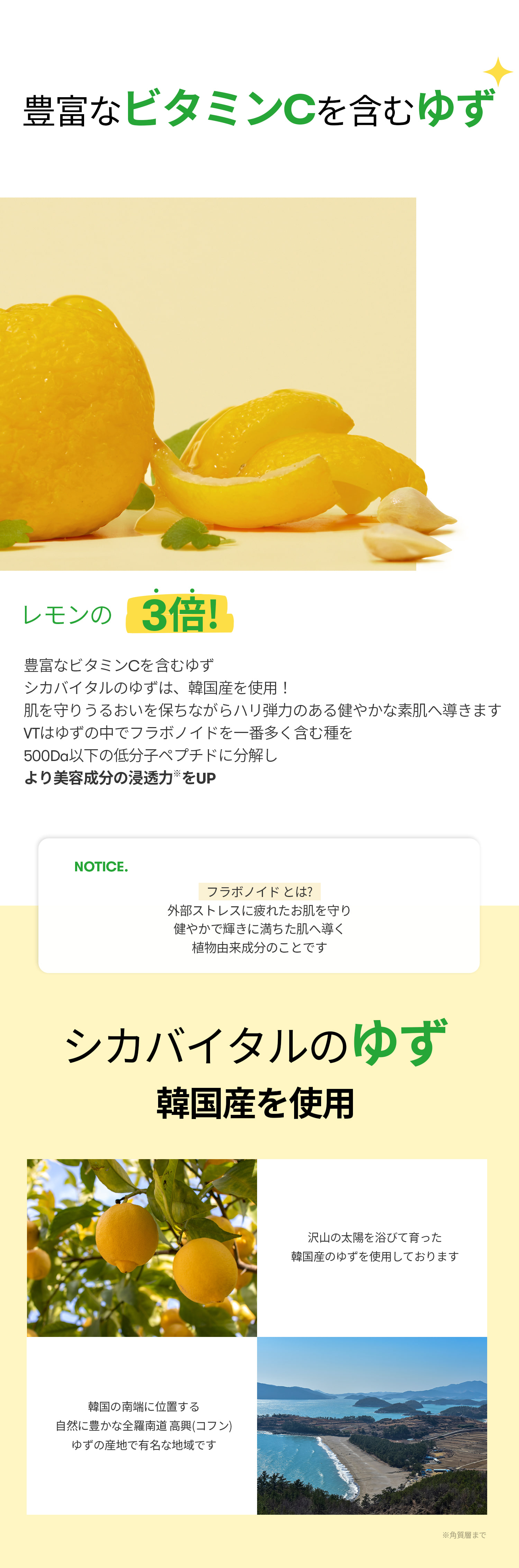 VT cosmeticsシカバイタルフォームクレンザー（100ml