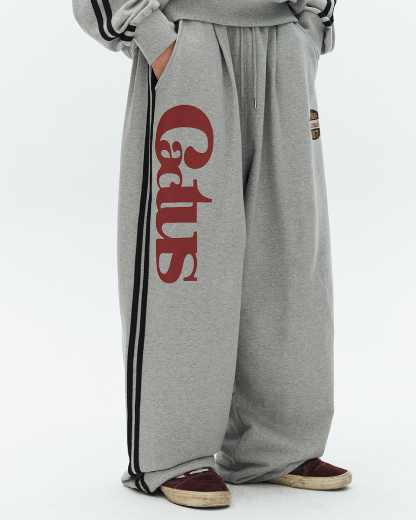 Cactus Track Line Wide Sweat Pants - Melange gray