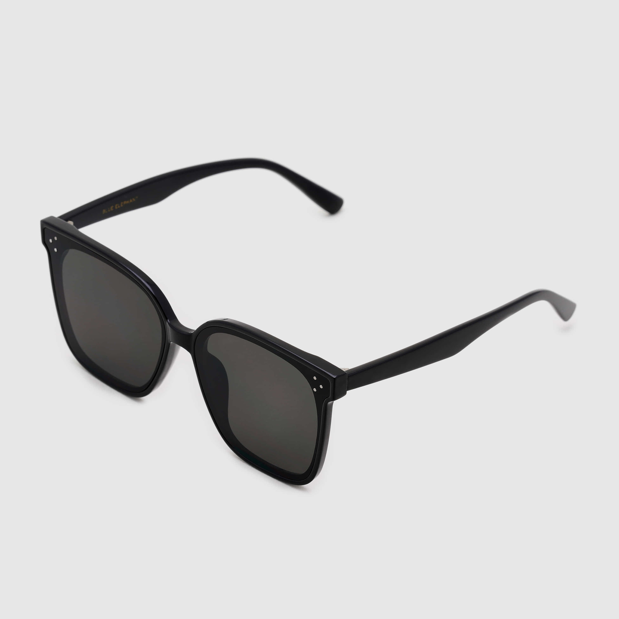 サングラス BLUE ELEPHANT HUE black Blue Elephant- HUE black – Danzzac