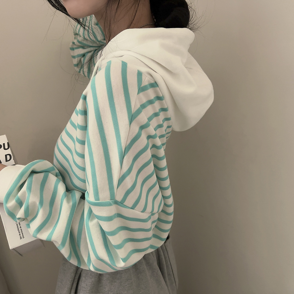 カジュアルボーダーセミクロップドフード付きTシャツ