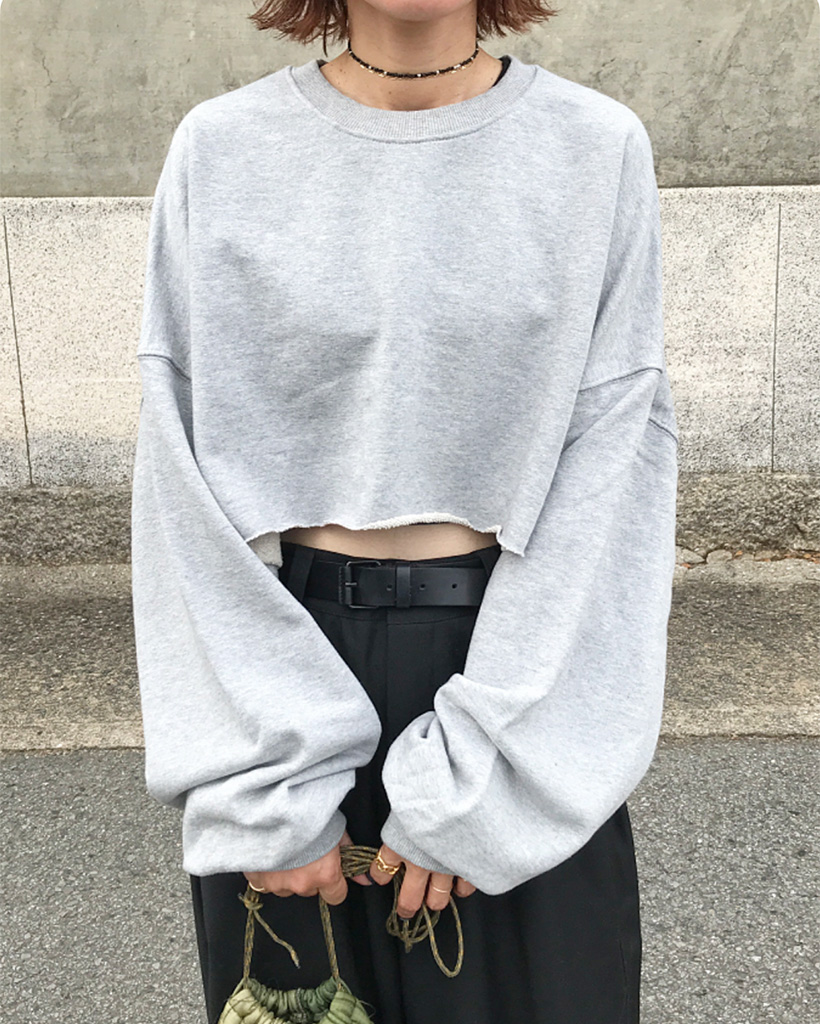 INSCRIRE クロップ スウェットシャツ タグ付き INSCRIRE INSCRIRE クロップ スウェットシャツ タグ付き INSCRIRE