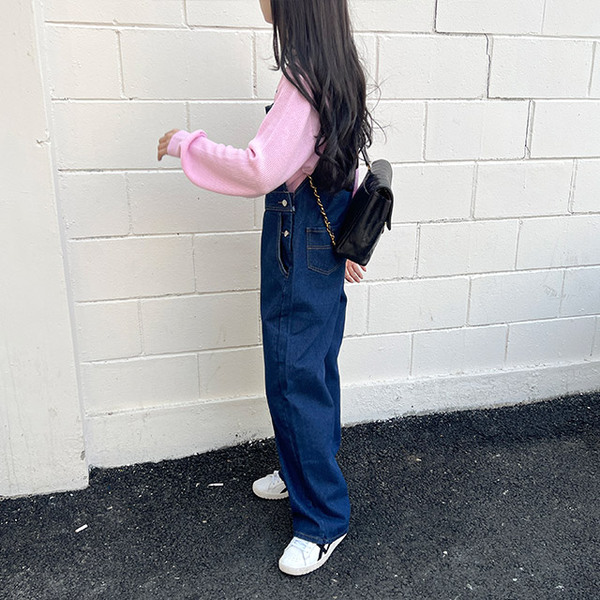 IIROT オーバーオール AMBIDEX Store △12.5OZデニム オーバーオール(F サックス): PAR ICI