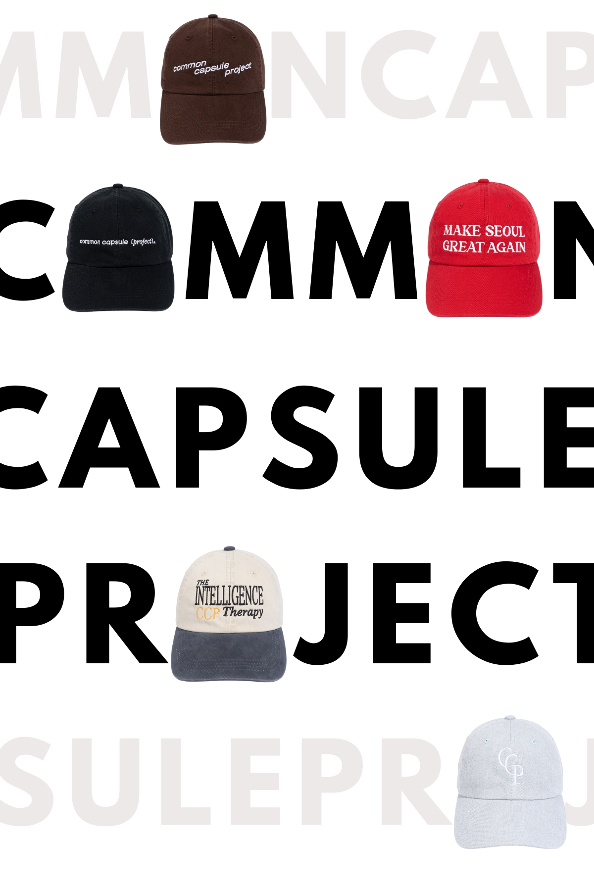 COMMONCAPSULEPROJECT