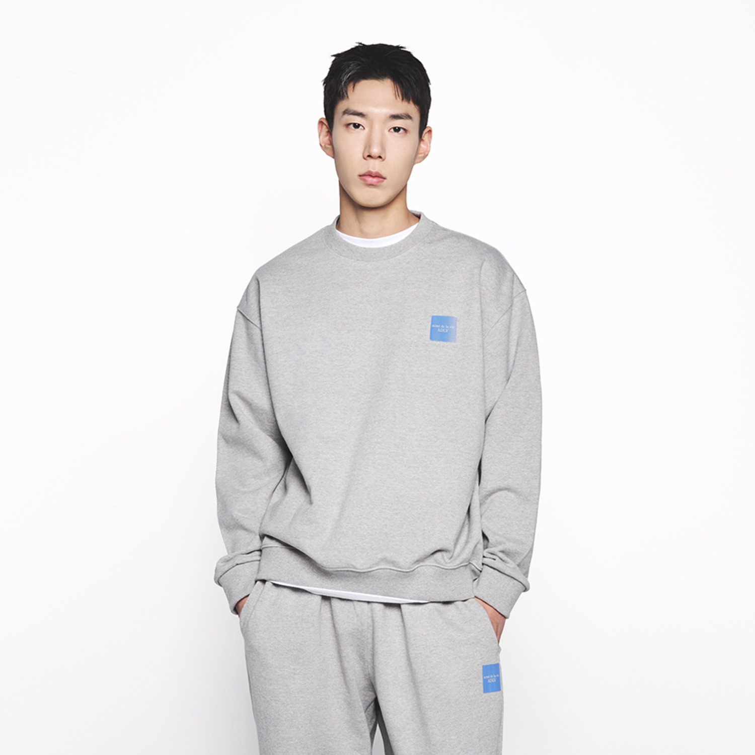 ADLV ♥ ALIEN RABBIT POP ART SWEATSHIRT /追跡付 ALIEN RABBIT POP ART SWEATSHIRT - 아크메드라비