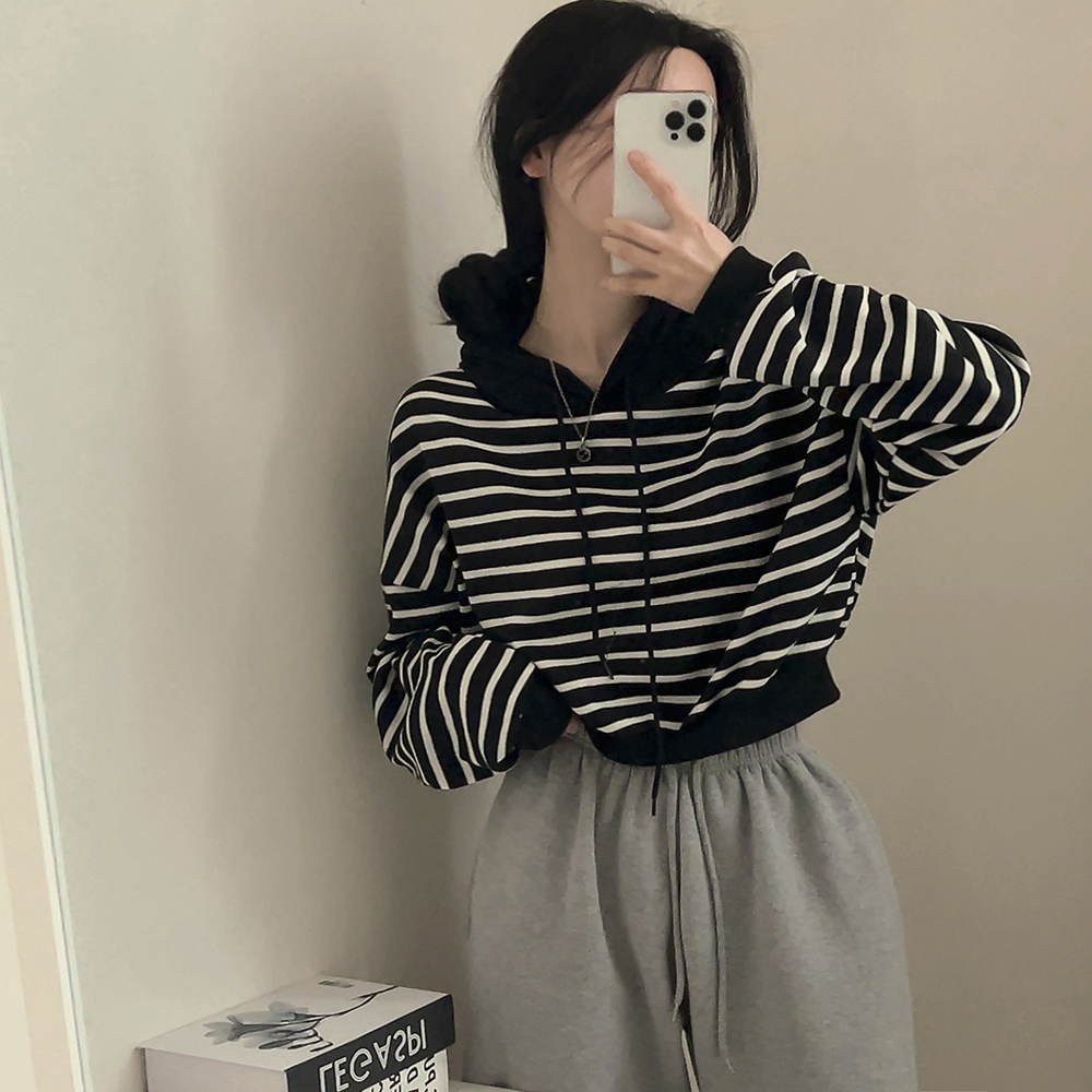 かっぱぬーどる LAST NEST / STRATA CROSS ZIP HOODIE (HOLICK Exclusive) | HOLICK