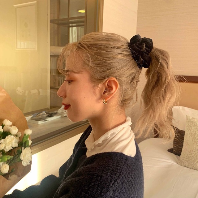 ベルベットシュシュ