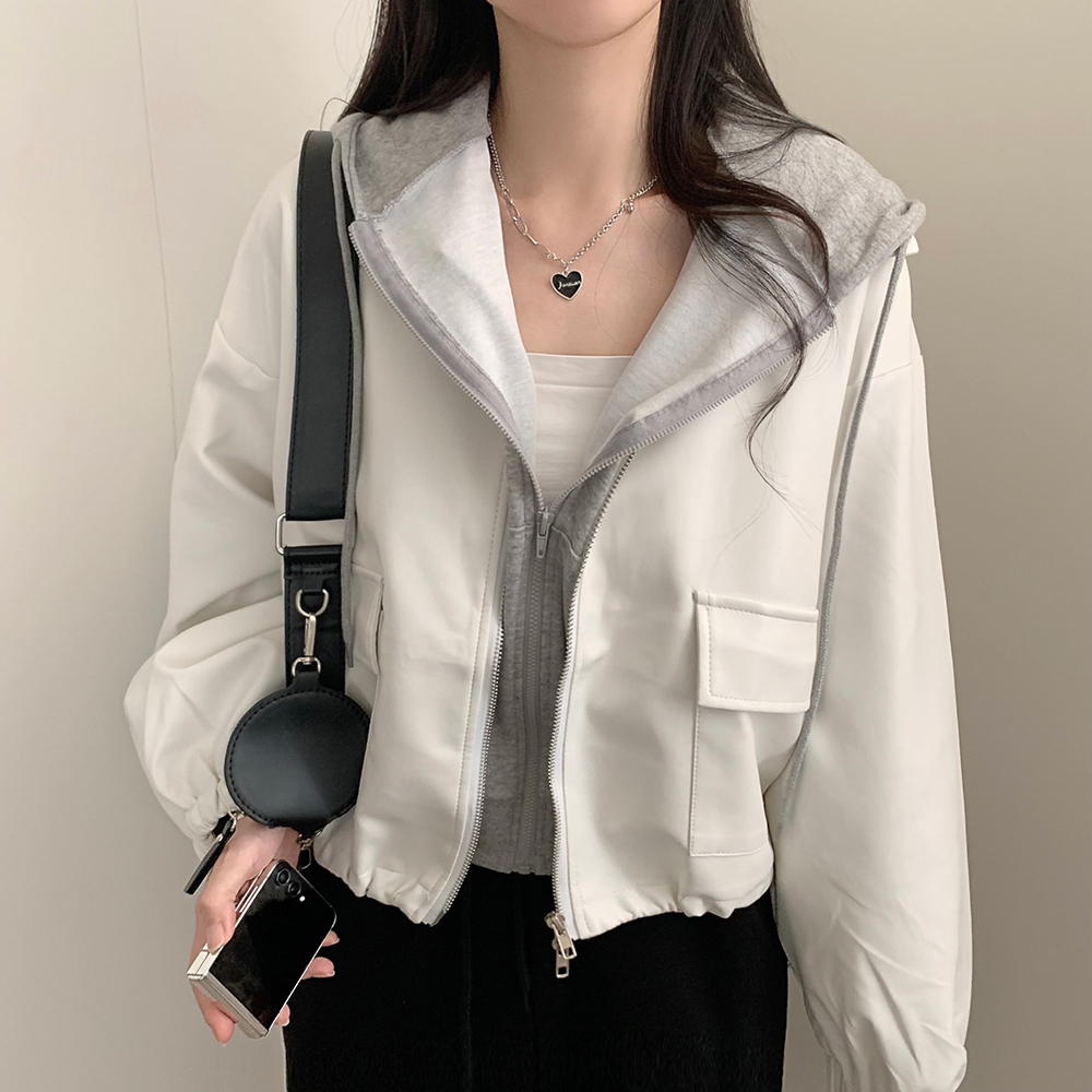 WHFヴィントハーガー　2セット WHFヴィントハーガー 2セット 音楽の都ウィーンで製作される