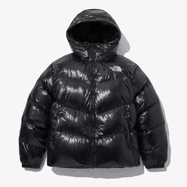 韓国限定レーベル] NEO FREE MOVE DOWN JACKET_ノースフェイス