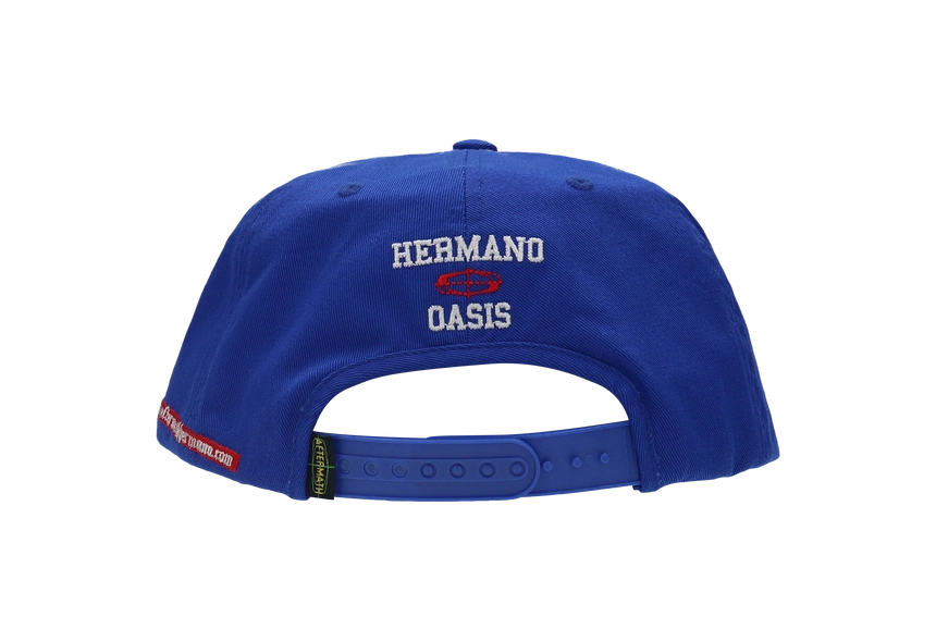 DEVIL LOGO BALL CAP 블루 후면.png