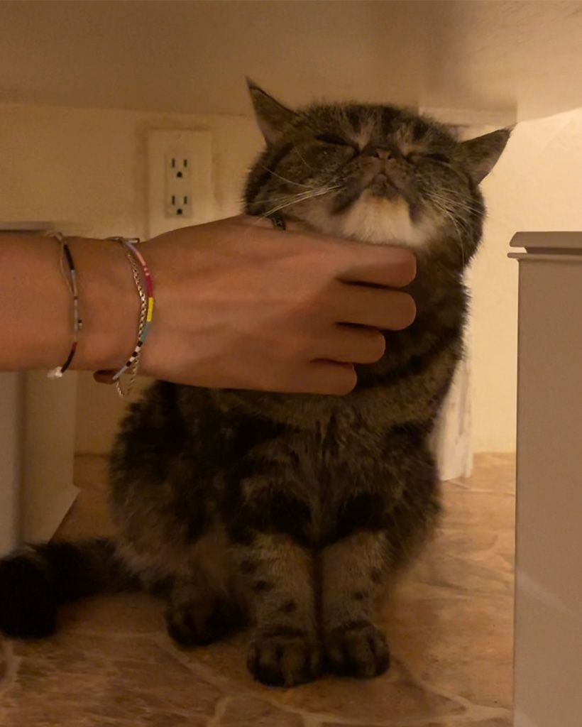 カラービーズポイントブレスレット