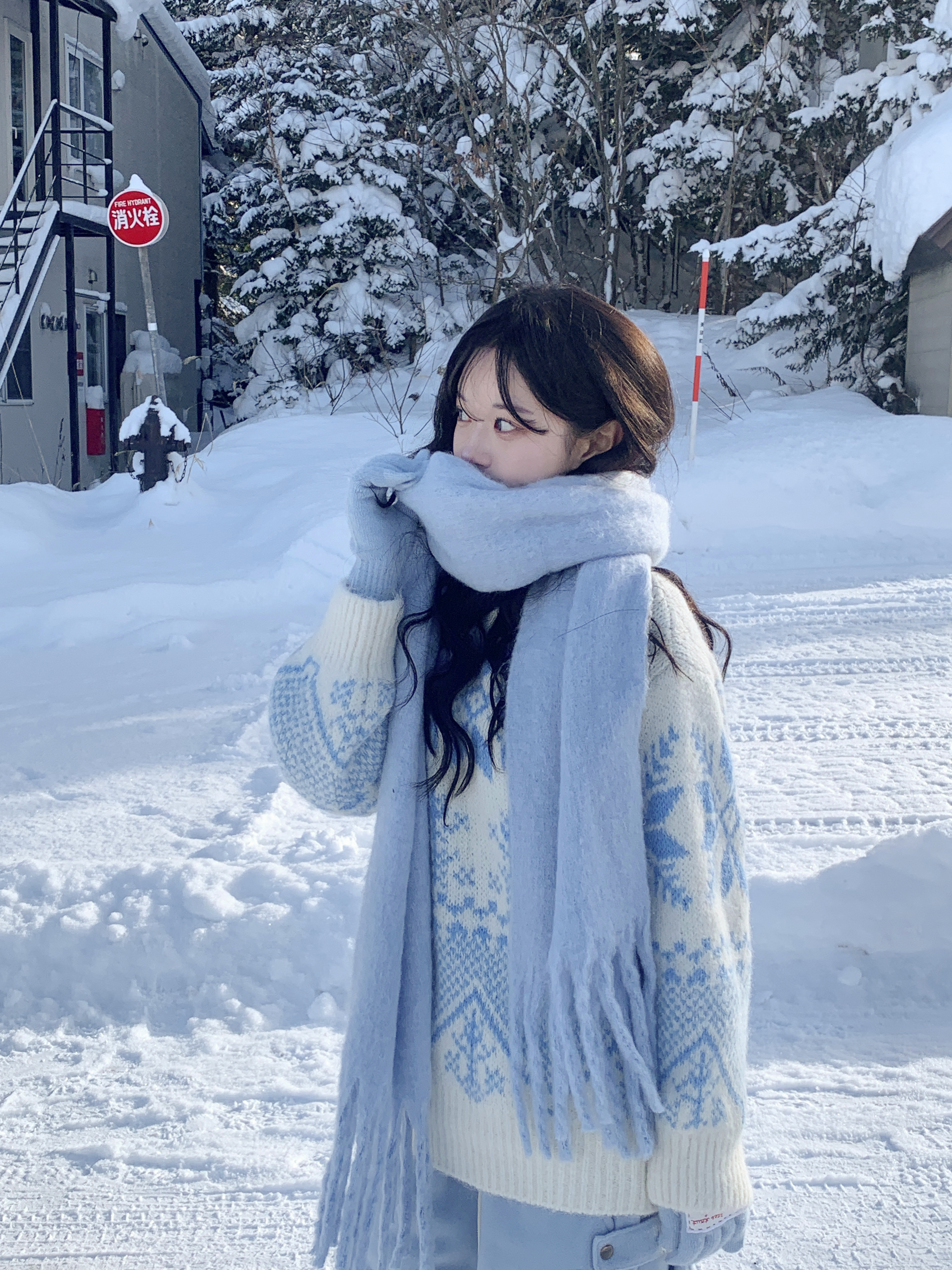 雪花ノルディック柄ニット | ファッション通販サイト NUGU