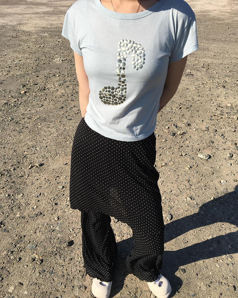トップス chi Non-Iron Popover | Talbots