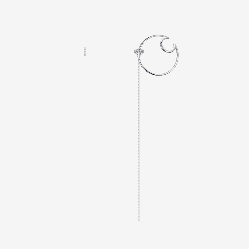 SIGNATURE. D SILVER EARRING-DXFYAS2892