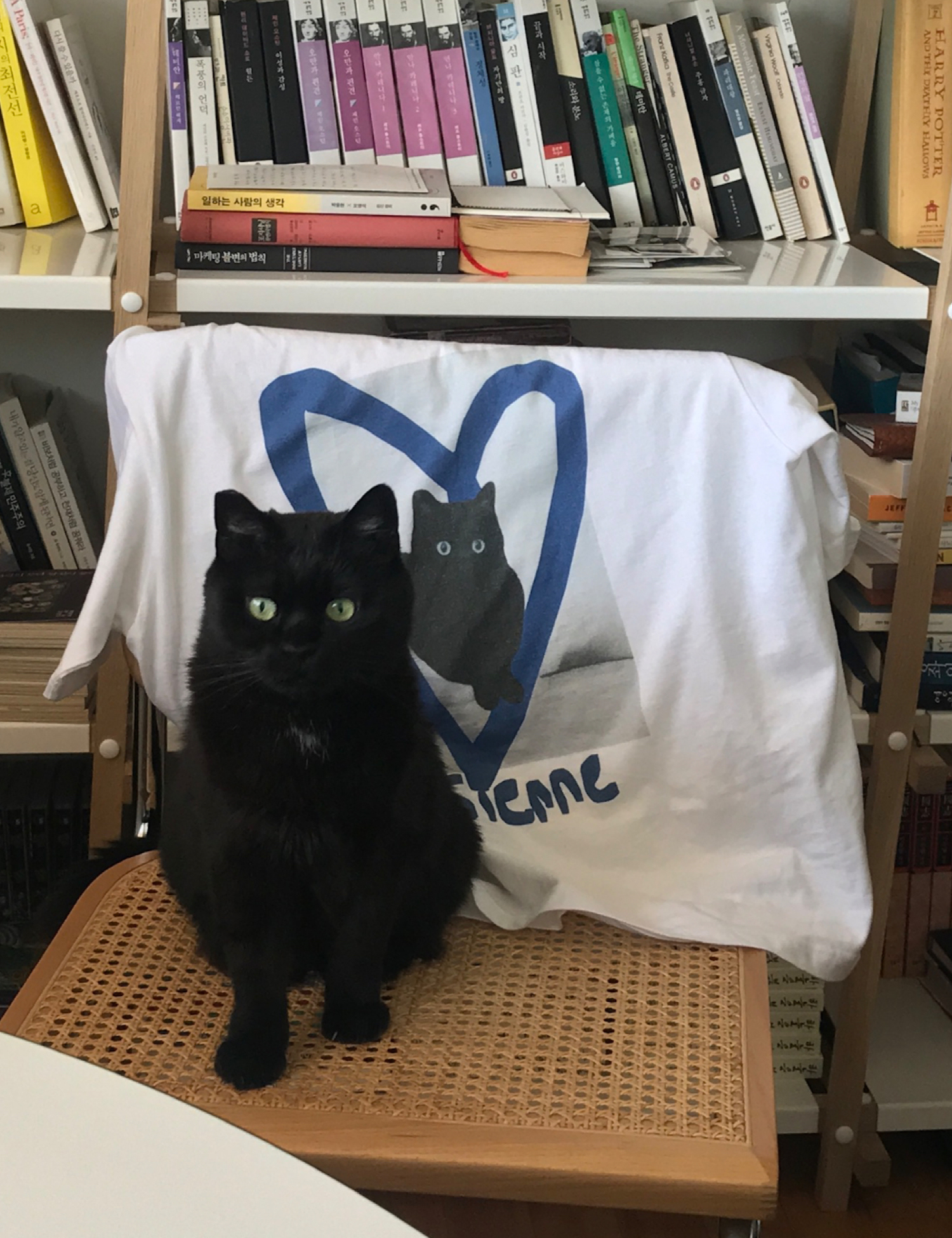 Love Cat Graphic Top (White)
