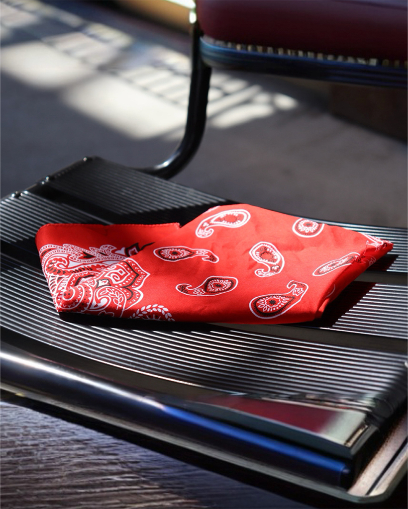 THE WORLD IS YOURS ペイズリーチェック バンダナ Hav―A―Hank