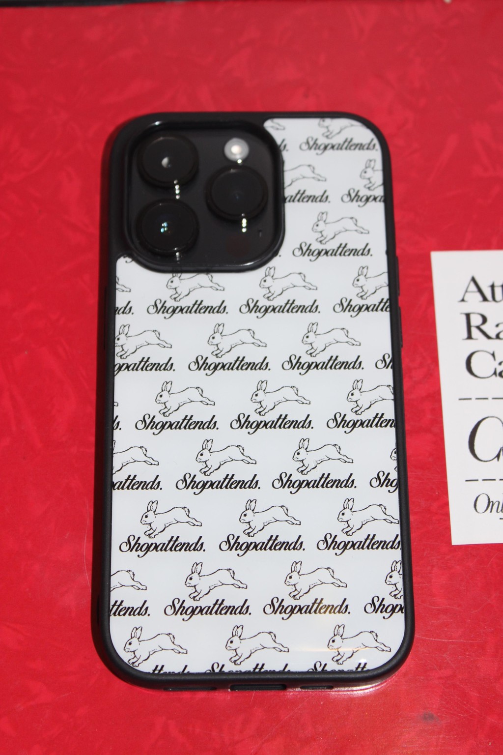 Rabbit Epoxy Case(white)