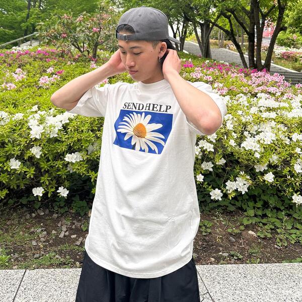デイジーリン　Tシャツ DAISY LIN | Official website and Online Boutique / DL T-Shirt