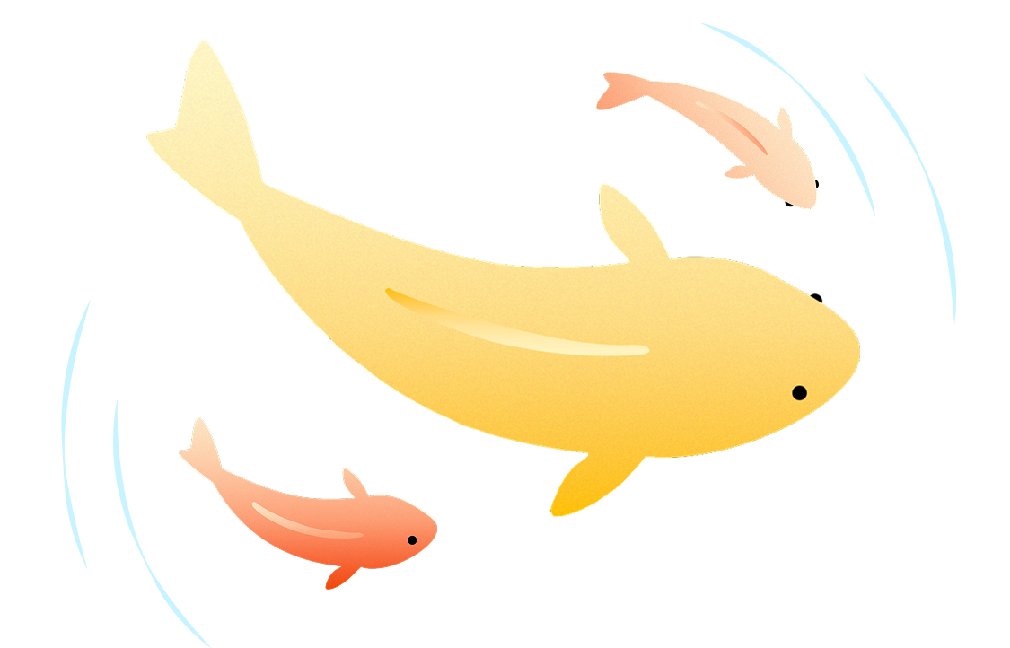 金魚すくい 毎日ログインチャレンジ