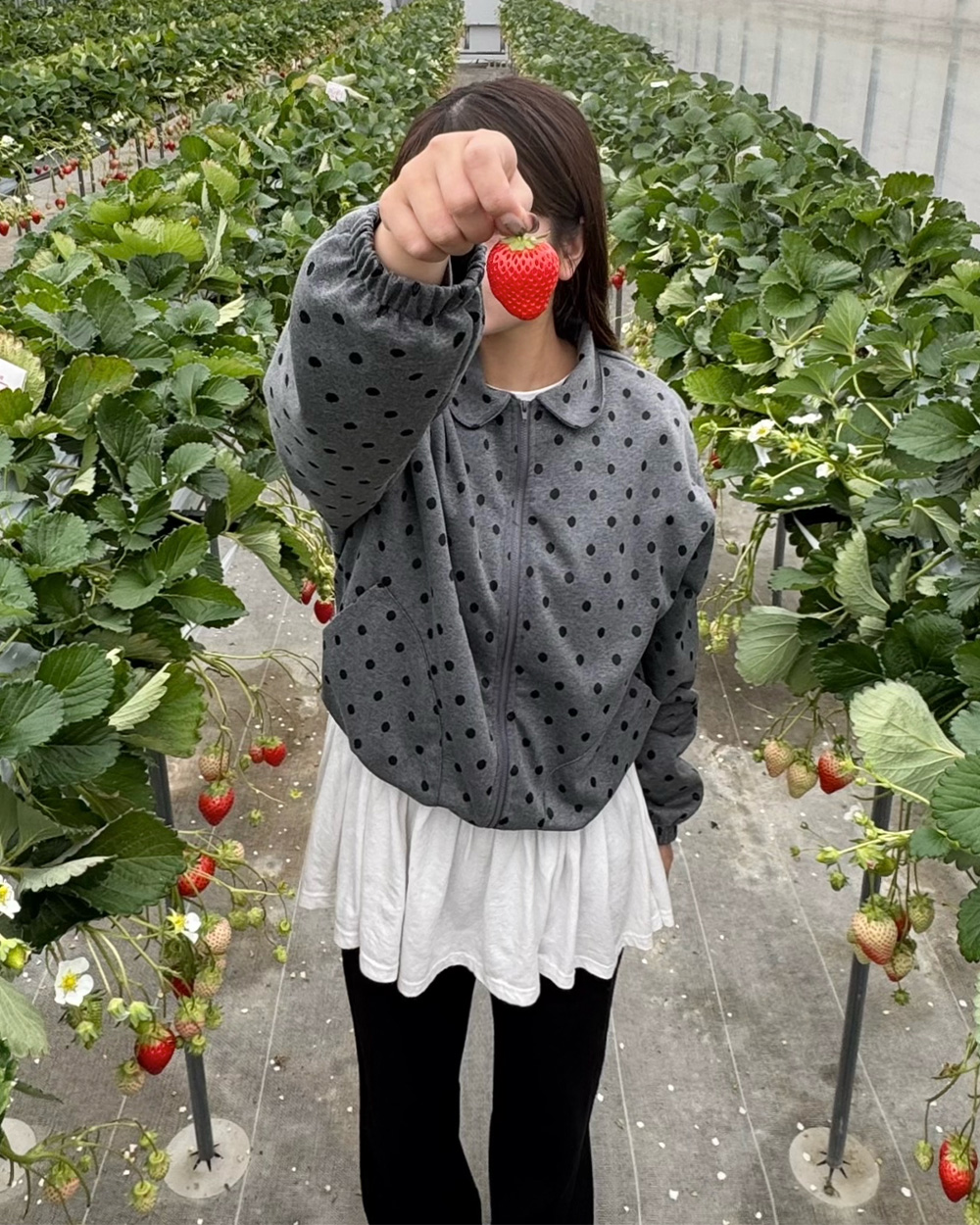 us. / アス | ファッション通販サイト NUGU