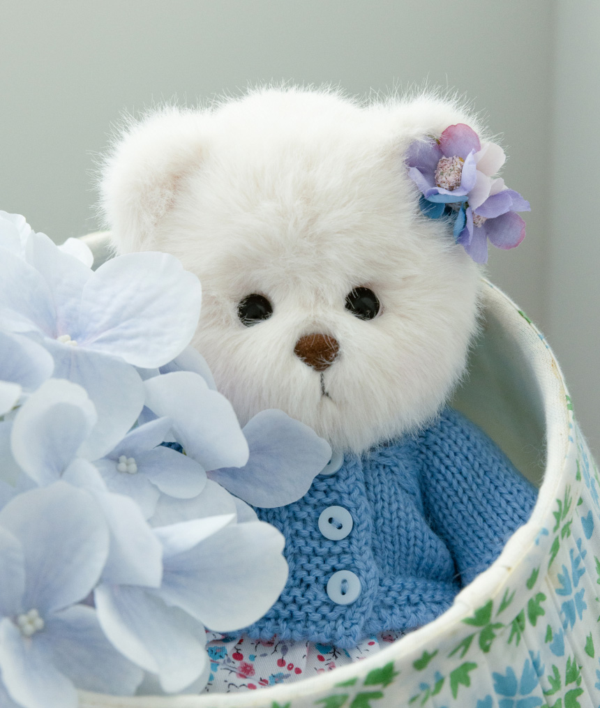 テディベア forget me not フォーゲットミーノット ベア Forget me not