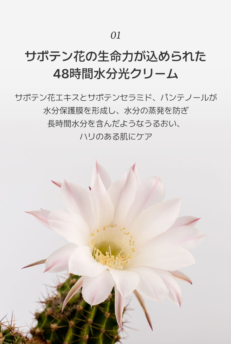 スキングロウクリーム；ビタラディアンス | ファッション通販