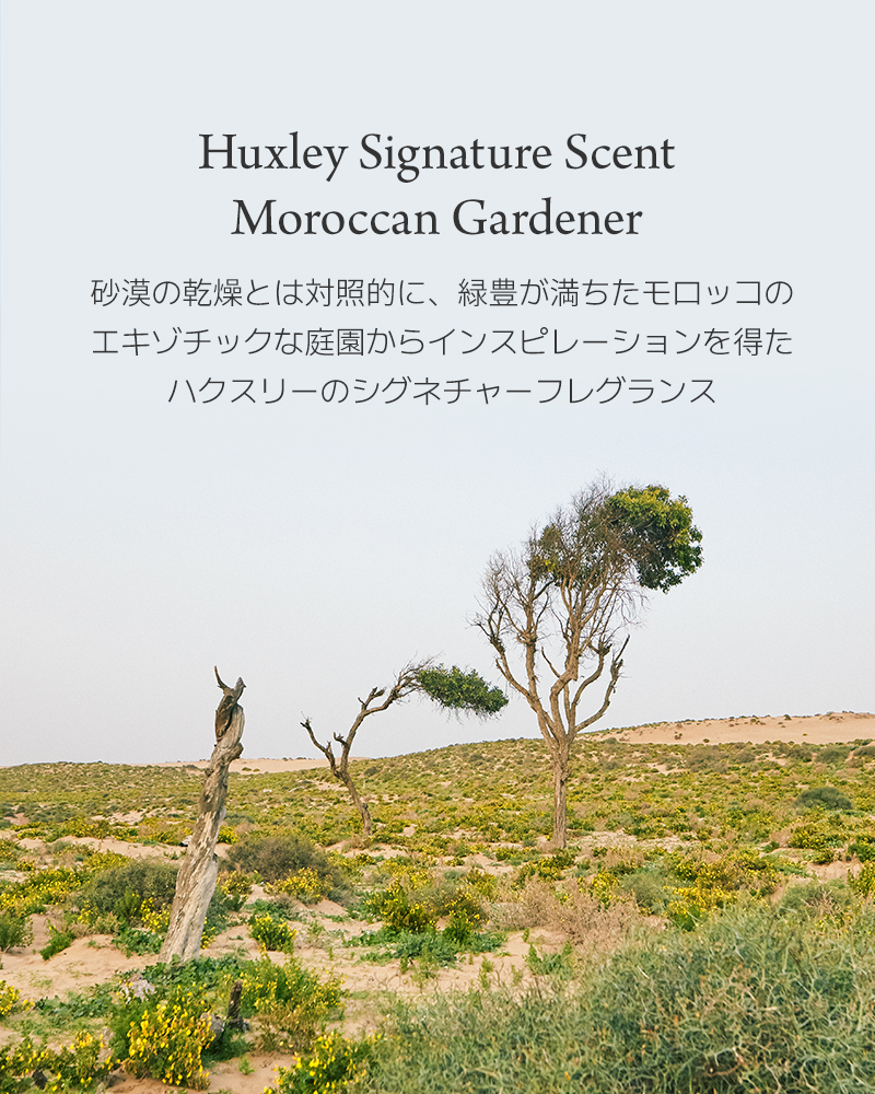 シークレット　バイオスキン　グロウ　アドバンスドラデイアンス　クリーム スキングロウクリーム；ビタラディアンス | ファッション通販