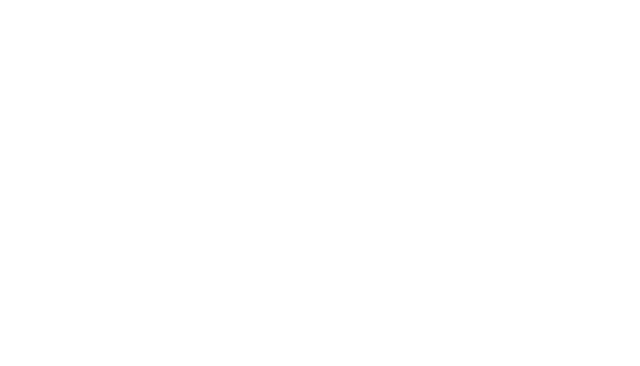 The Barnnet