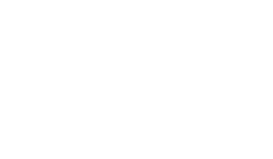 WACKY WILLY