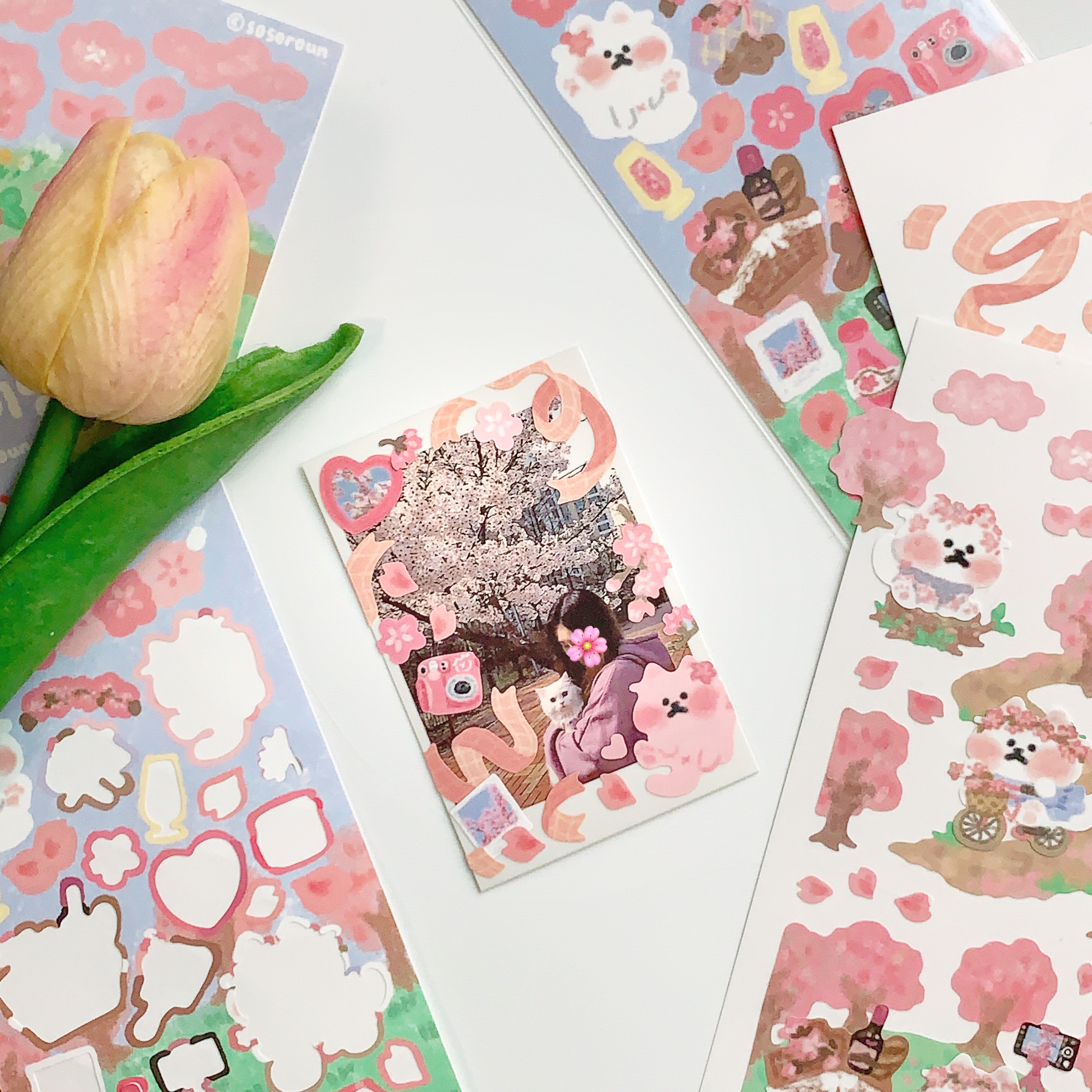 cherry blossom sticker 2 type
