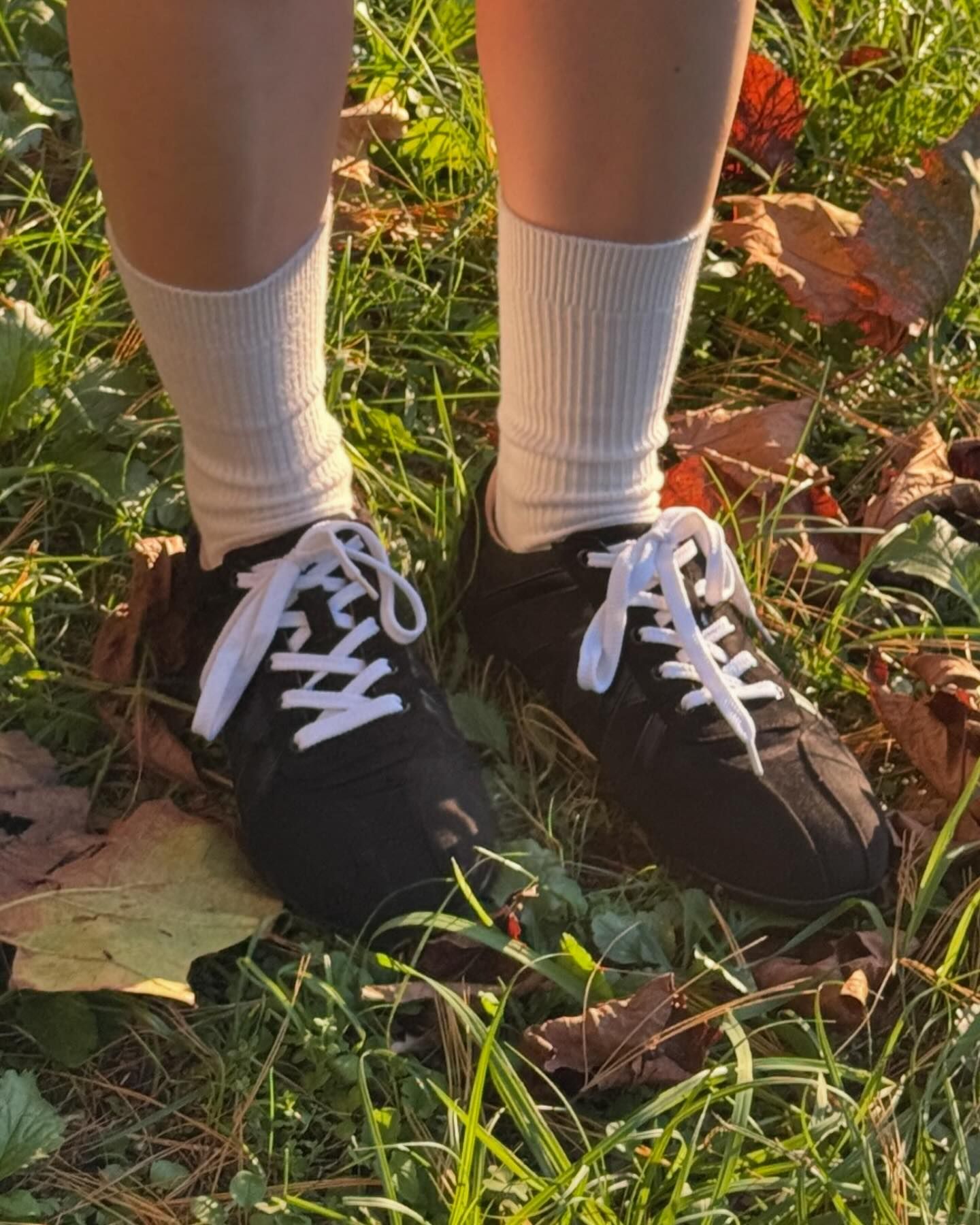 Flute Sneakers 412430010 (2cm/3 colors)